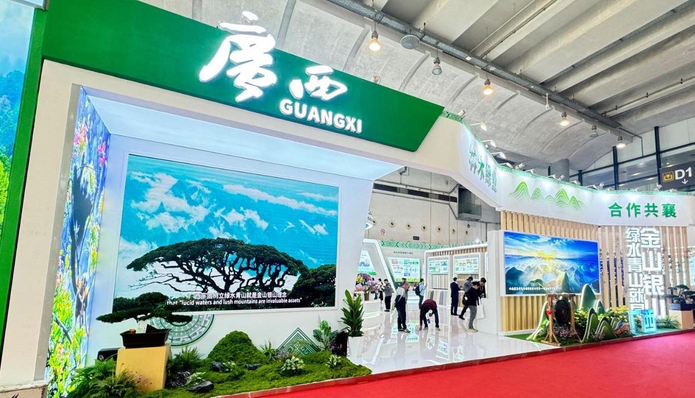 图1 广西馆网红入口区.jpg