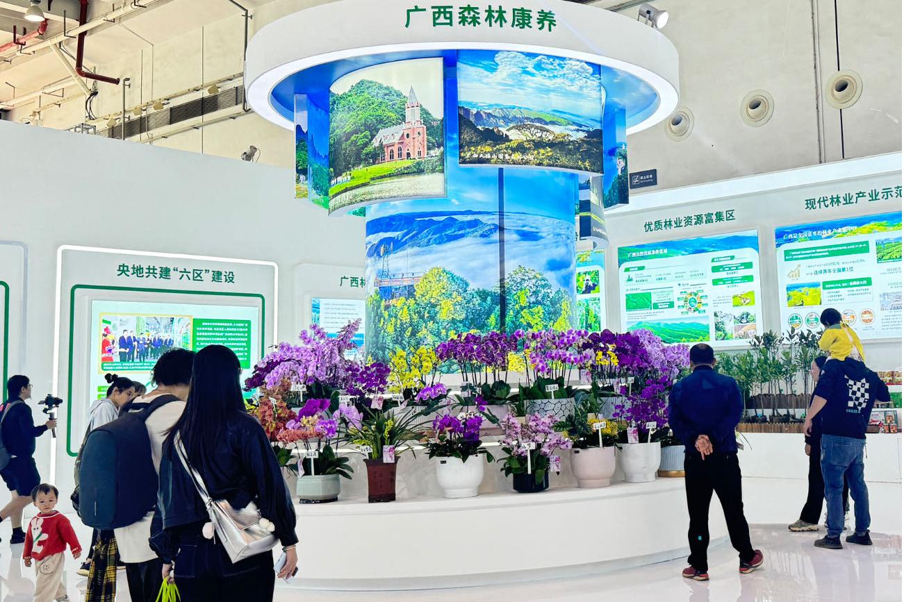 图4 精品兰花盆景展.jpg